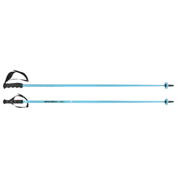 Ski poles HEAD Worldcup SL Speed Blue - 2024/25