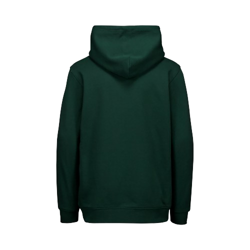 Hoodie POC Hood Jr Pargasite Green - 2024/25