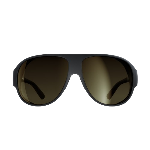 Sunglasses POC Nivalis Uranium Black/Clarity Universal/Glacial Gold