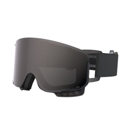 Goggles POC Nexal Raw Black/Partly Sunny Grey - 2024/25