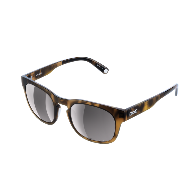 Sonnenbrille POC Require Tortoise Brown - 2024/25