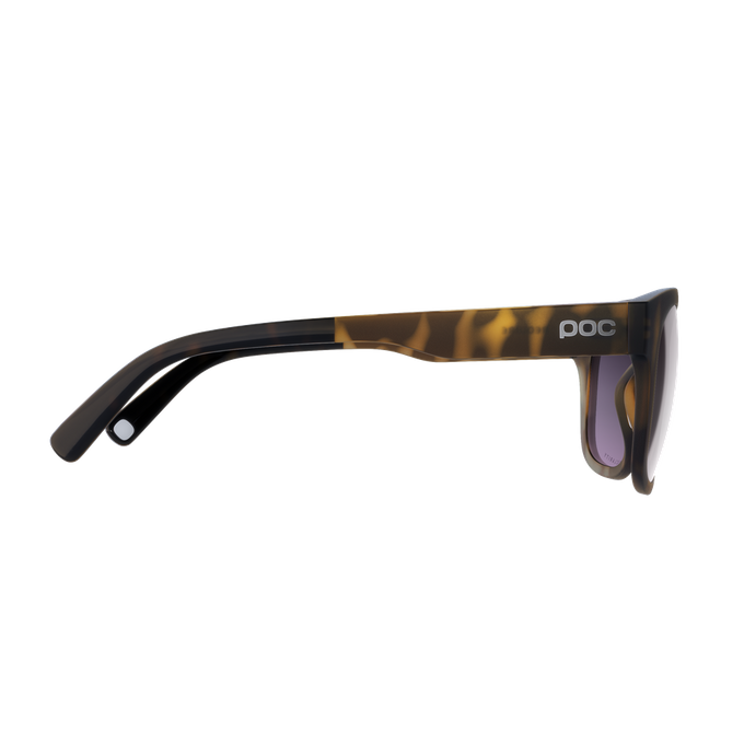 Sonnenbrille POC Require Tortoise Brown - 2024/25