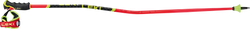 Skistöcke LEKI WCR GS Carbon 3D Red - 2025/26