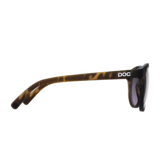 Sunglasses POC Know Tortoise Brown/Clarity Road/Sunny Silver