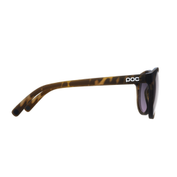 Sunglasses POC Know Tortoise Brown/Clarity Road/Sunny Silver