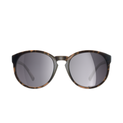 Sunglasses POC Know Tortoise Brown/Clarity Road/Sunny Silver